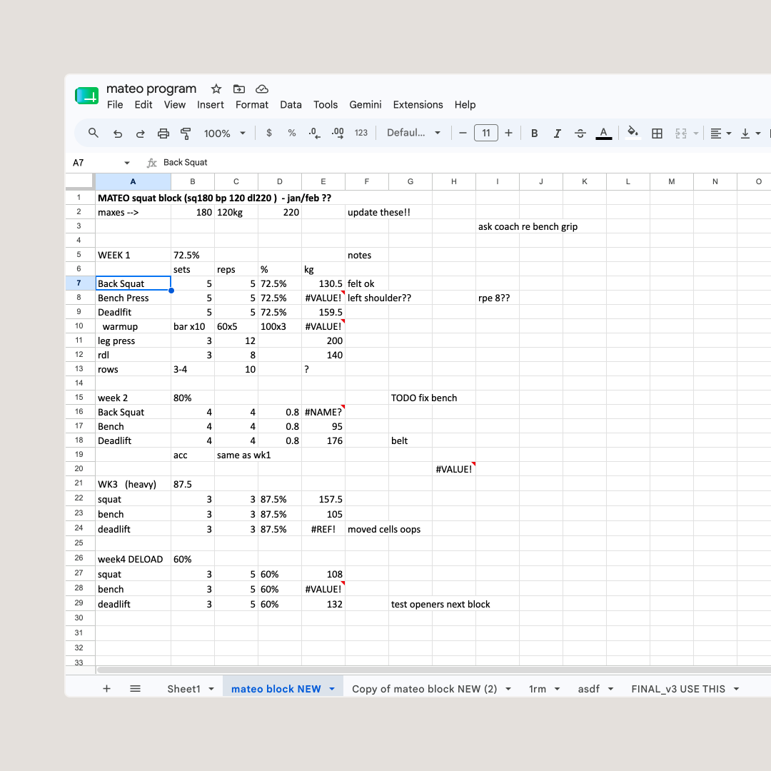 A messy Google Sheet — cramped cells, formulas, a tab per athlete.
